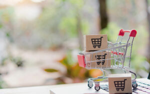 Sorglos Page GmbH aus Wels Wie viel kostet eine kostengünstige Unternehmenswebsite?